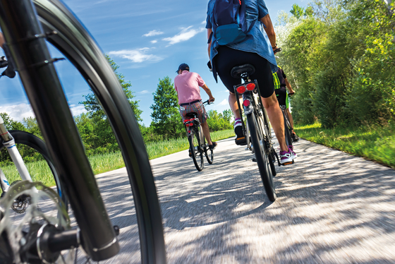 Eine Gruppe mehrer Radfahrer fährt auf einem Feldweg im Grünen unter blauem Himmel und symbolisiert die Möglichkeit zum sportlichen Radfahren nach einer Endoprothesenoperation im Albertinen Endoprothetikzentrum in Hamburg